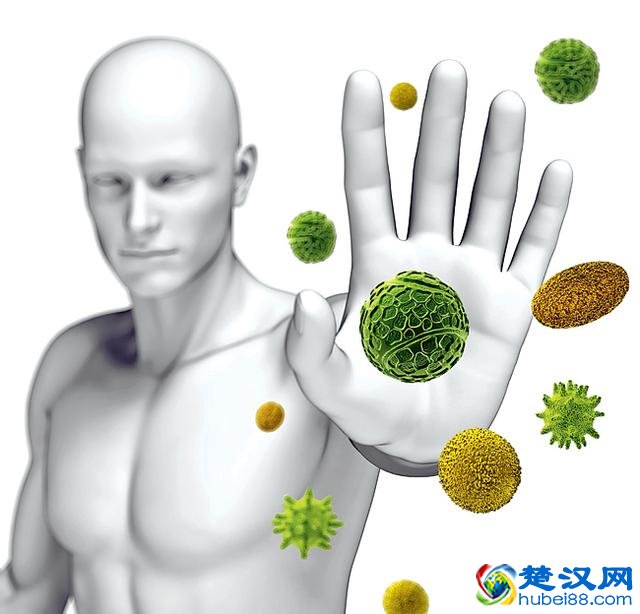 医生列了一张表，上面的食物能提高免疫力，建议你收好！