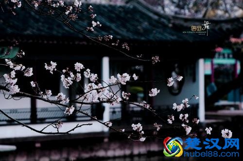 听说你胆子大，这几本看完不敢关灯的恐怖小说，你不来挑战一下？