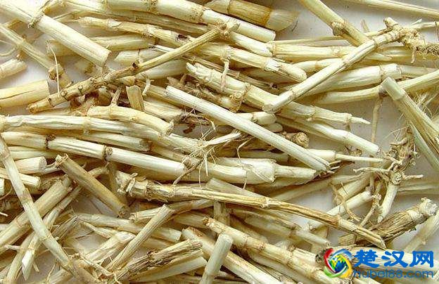 白茅根泡水喝，对身体有5个好处，但这些事项要注意