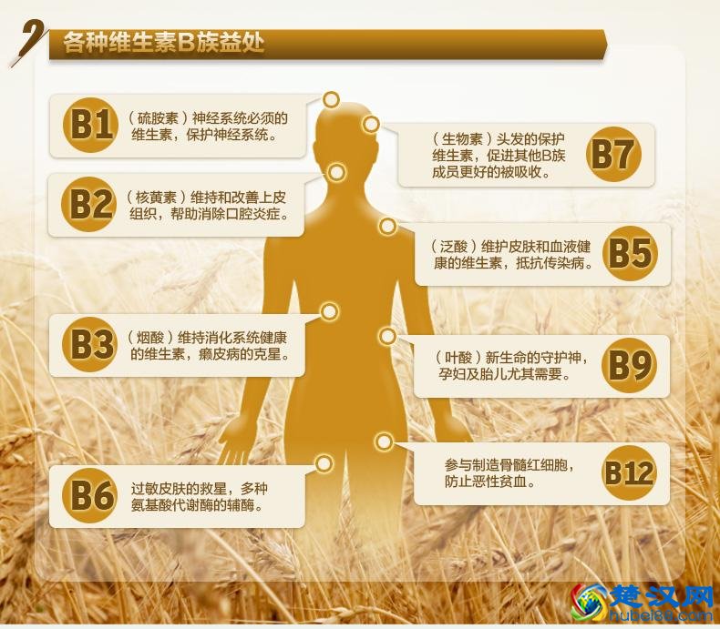 维生素B族居然有这么多好处，竟能横扫6种疾病！