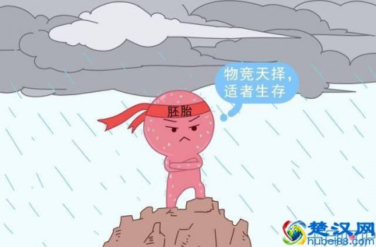  怀孕多长时间有反应，备孕需要注意的几个症状！