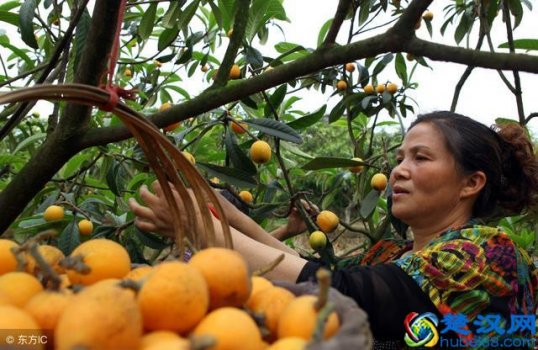  2018农业种植补贴最新消息（必看）