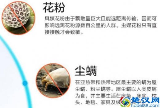  在草长莺飞的季节，预防过敏的最好方法