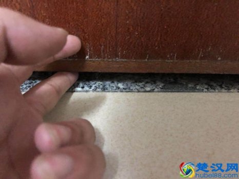  老鼠赶不走，教你预防老鼠进家门的方法