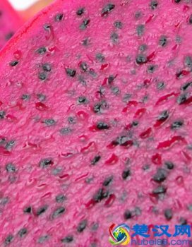  火龙果皮能吃吗？火龙果皮的功效和作用你知道吗？