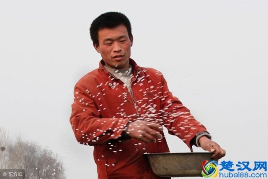  常见的氮肥有几种？赶紧来涨涨知识