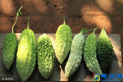  苦瓜的功效与作用，据说减肥吃苦瓜效果不错