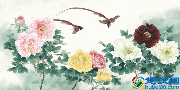  中国国花是什么花？别再说不知道了