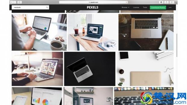  怎么搜索图片，教你几招技巧！