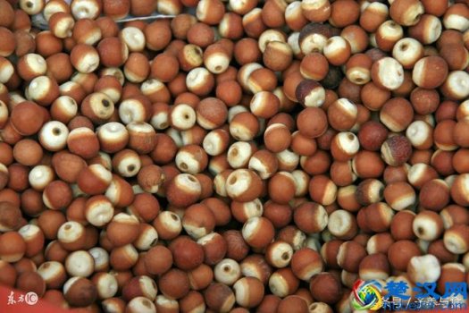  芡实怎么吃，芡实的营养价值！