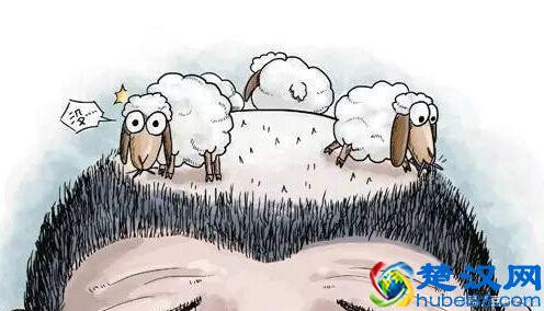  脱发怎么办，教你几招告别脱发！