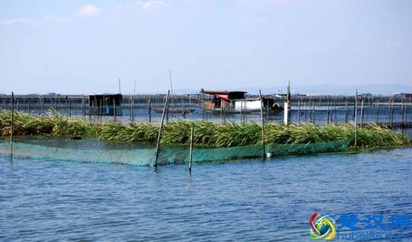  阳澄湖在哪里？属于哪个省？