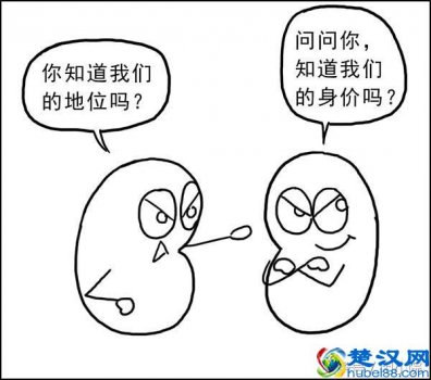  肾阴虚和肾阳虚是什么意思？有什么区别，老中医教你调理