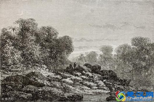  锁阳能壮阳吗？男士必备