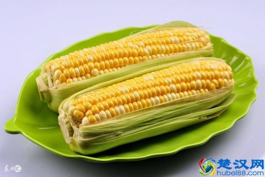  水果玉米种子，种植技术要点（新手必看）