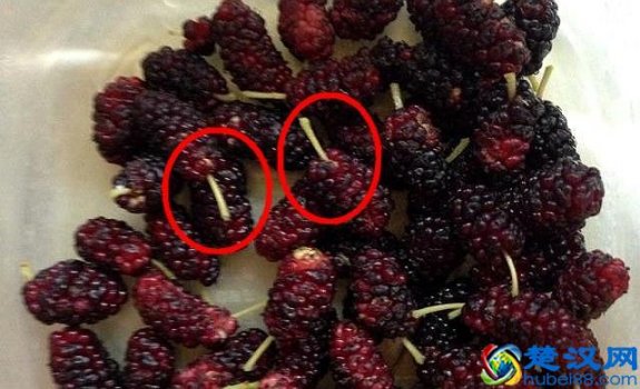  桑葚怎么洗才能洗干净？6个技巧快速无残留