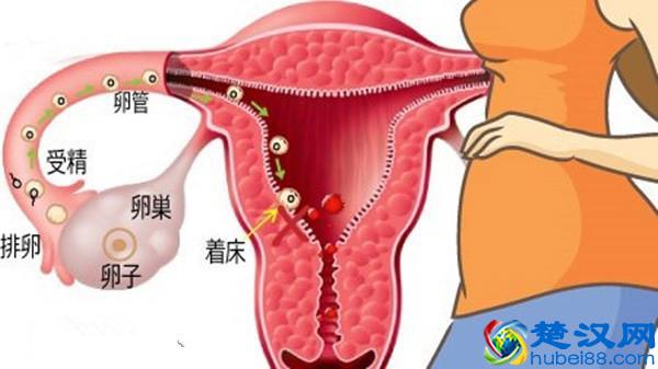 怎么知道怀孕(这些怀孕的信号你知道几个)