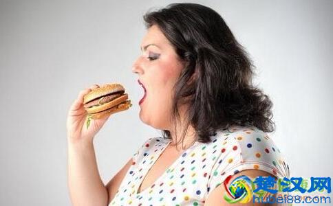 太胖了怎么办(肥胖的人饮食上要注意哪些方面)
