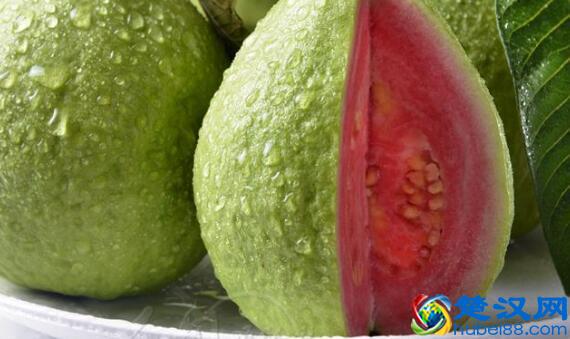  芭乐是什么季节水果，芭乐和番石榴有什么区别！