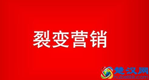  在福鼎能做什么小生意（12个福鼎人就有一个做生意）