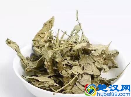  艾蒿泡脚好处及注意事项（推荐五个泡脚秘方除百病）