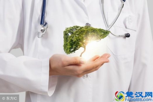  肝脏不好吃什么？这7大食物是公认的补肝佳品