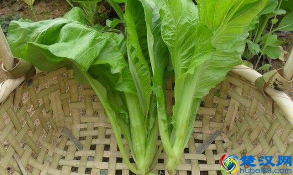  牙龈发炎怎么办，快速有效的好办法推荐！