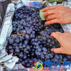  葡萄酒怎么做,葡萄酒制作流程！