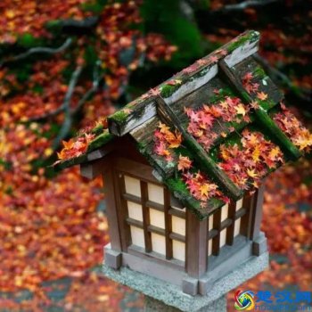 事与愿违什么意思?真的另有安排么