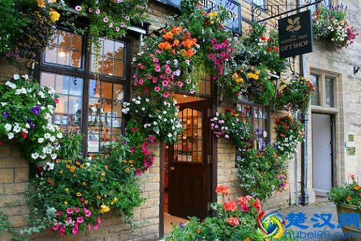  怂是什么意思？人活着绝对不能怂