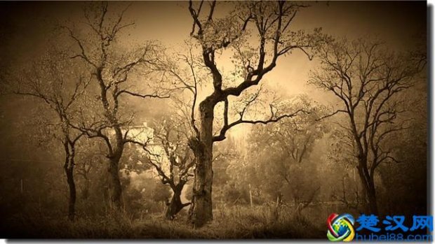  天凉好个秋是什么意思？辛弃疾告诉你真正的含义