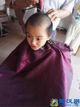 什么动物最容易摔倒?你知道答案吗