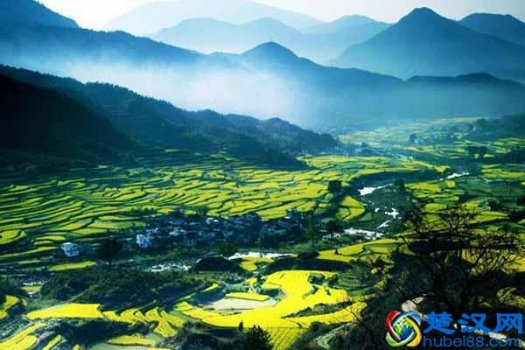  什么是生态农业？发展生态农业的好处居然这么多