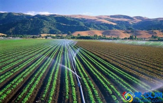 三农指的是什么?三农政策你知道么