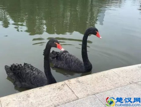  风雨同舟是什么意思？人生就应该风雨同舟，不离不弃