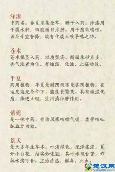  有什么好的网名昵称吗？这些也是不错的选择