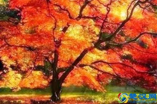  妒忌是什么意思？如何看出一个人嫉妒你