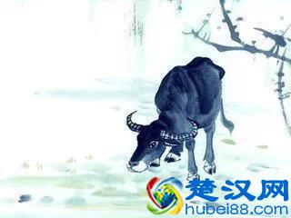  香港十大风水师哪个算的准？