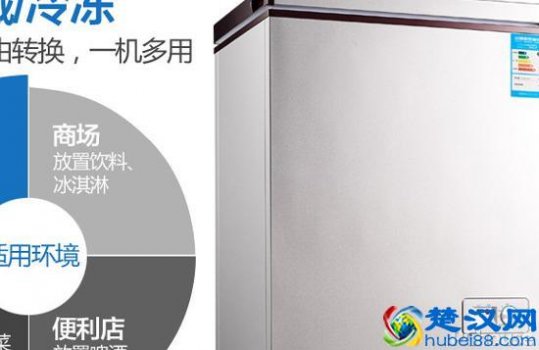  家用冰柜哪个牌子好又省电？