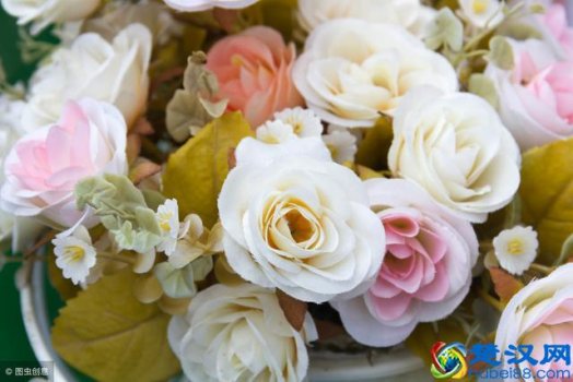  六朵玫瑰代表什么含义？花的数量的含义你真的懂么