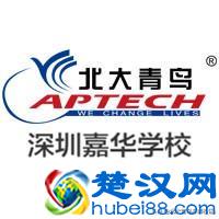  学点什么技术有前途（2019年最吃香的行业推荐）