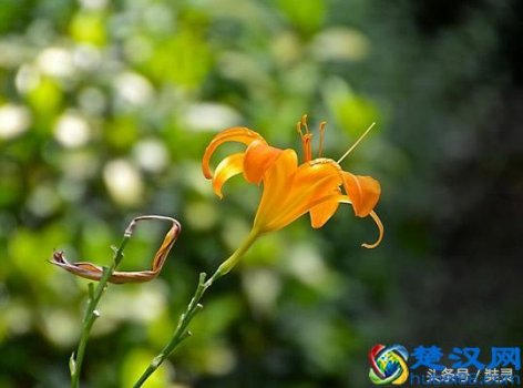  肠胃不好怎么办？有暖气怎么办