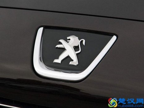  东风标致怎么样啊（从后视镜看30cm两指宽）