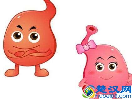  胃痛胃胀打嗝怎么办（胃胀胃疼打嗝食疗疗法）