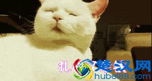  黑头怎么去除最有效发（学生顽固黑头该怎么去除）