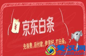  京东白条支付是什么意思（教你如何在pos机上使用京东白条）