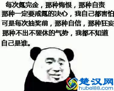  网易返现怎么操作（中信银行信用卡网易考拉返现4%）