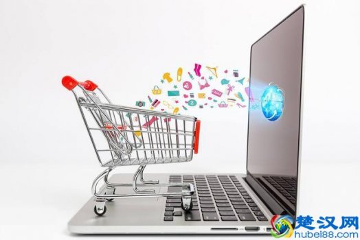  什么是旗舰店和官方旗舰店（同是天猫店差价居然这么大）