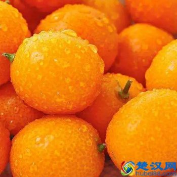  金桔的作用（金桔的禁忌和使用方法）