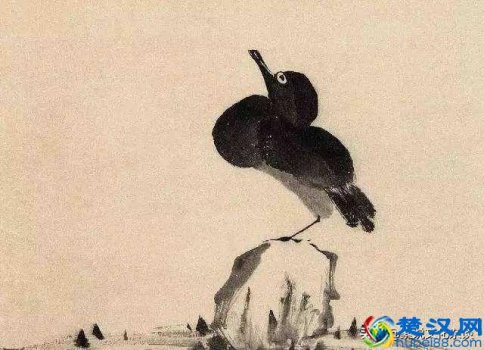  丑鸟价格（最丑的鸟有哪几种、图片）